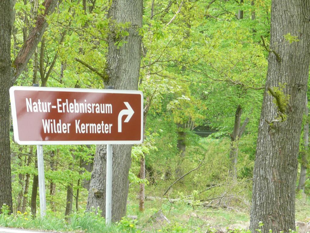 Ferienhaus Kruk Hergarten Buitenkant foto