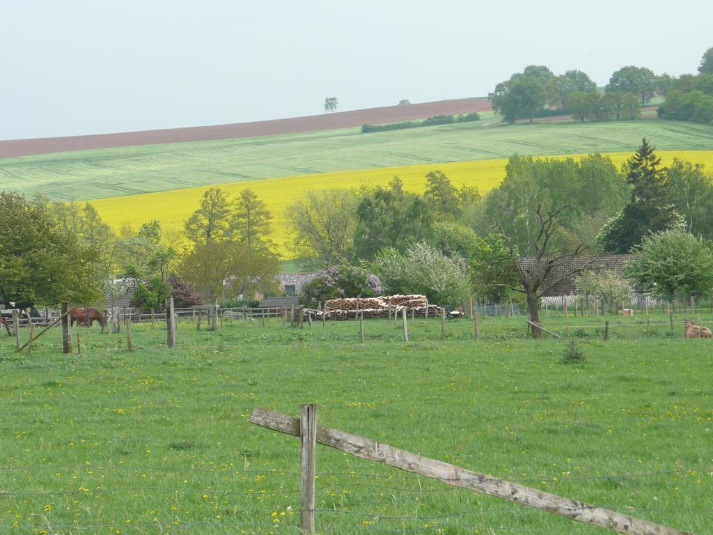 Ferienhaus Kruk Hergarten Buitenkant foto